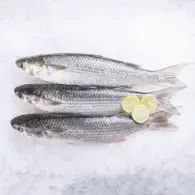 سمك بوري كبير (1كجم)